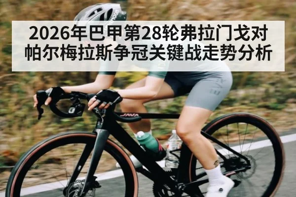 2026年巴甲第28轮弗拉门戈对帕尔梅拉斯争冠关键战走势分析
